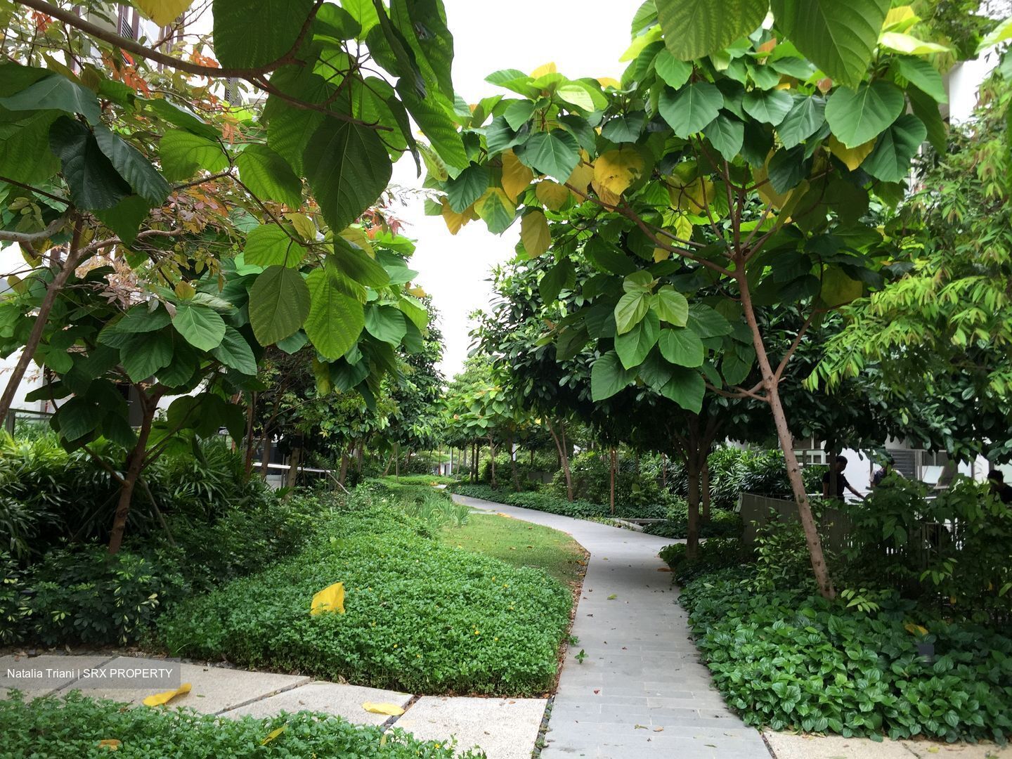 Flamingo Valley (D15), Condominium #576680981